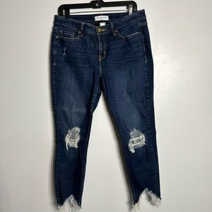 Lane Bryant Distressed Denim